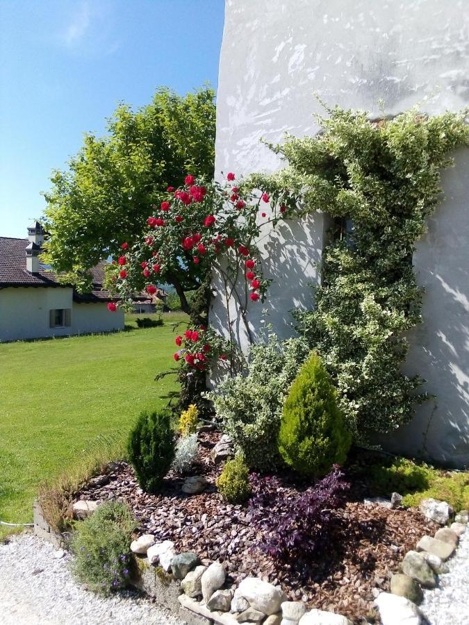B&B La Casa Di Loretta Paderno Екстериор снимка